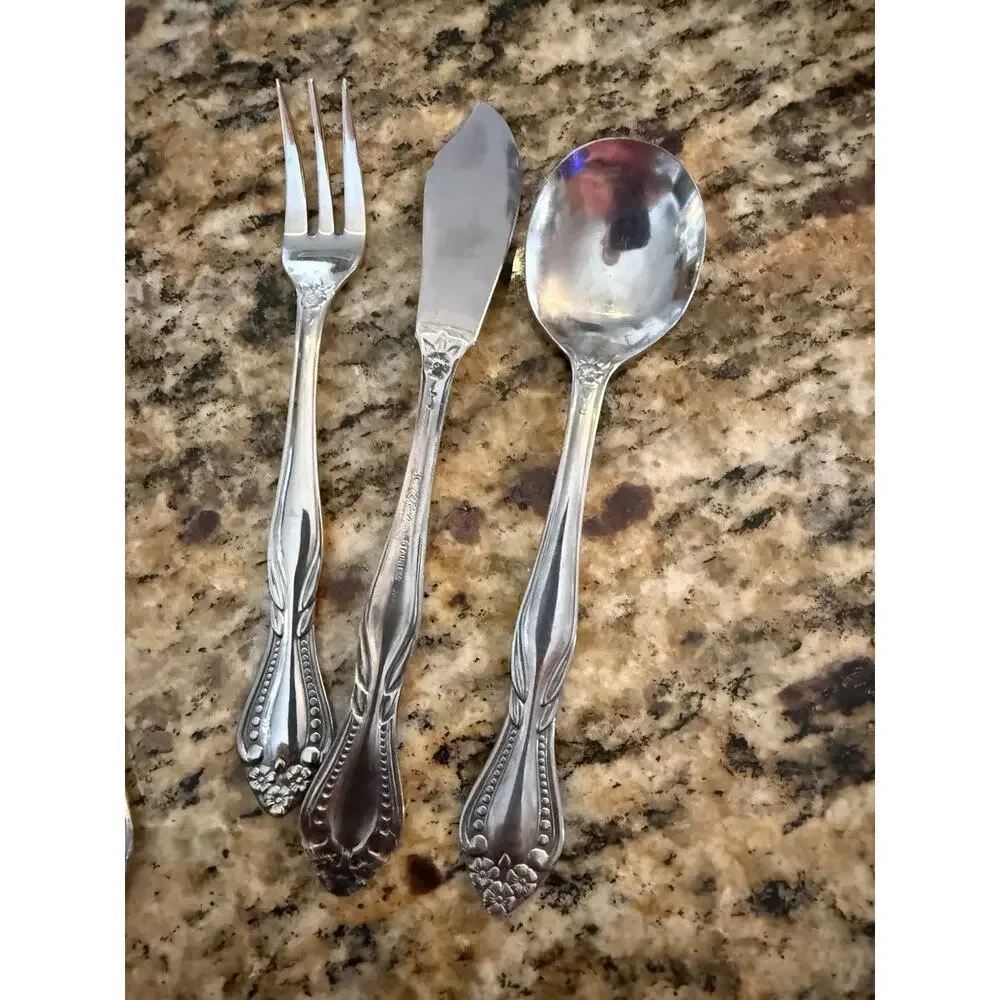 Lifetime Stainless Japan Pierrepont Flatware Mcm Set 42 Pc Service for 6 VTG
